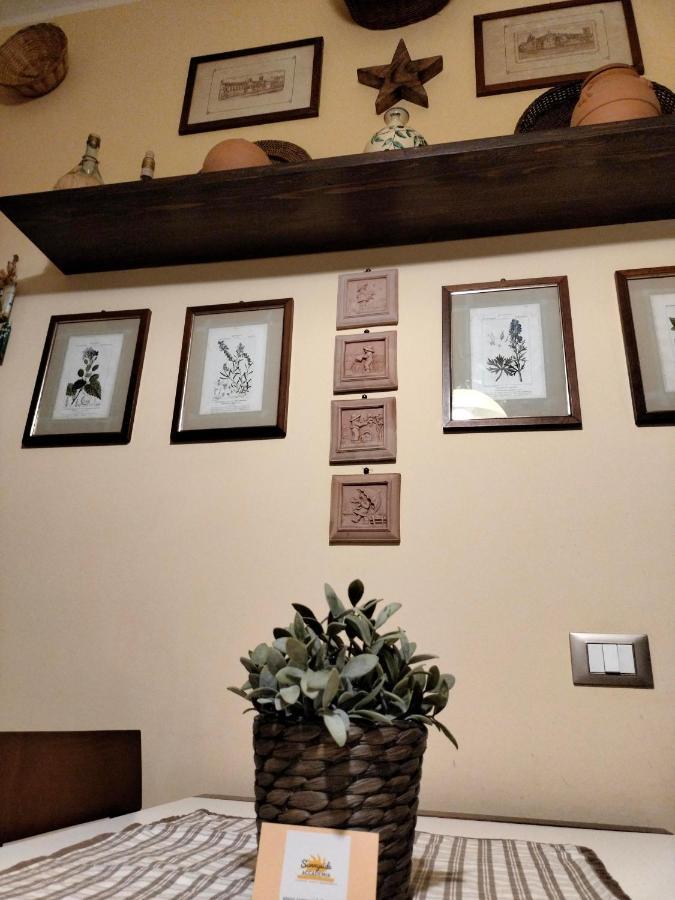 Sunnyside Accademia Daire Livorno Dış mekan fotoğraf